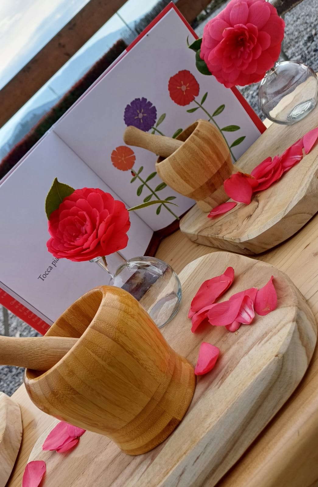 LittleRanch AGRINIDO a ore per bambini